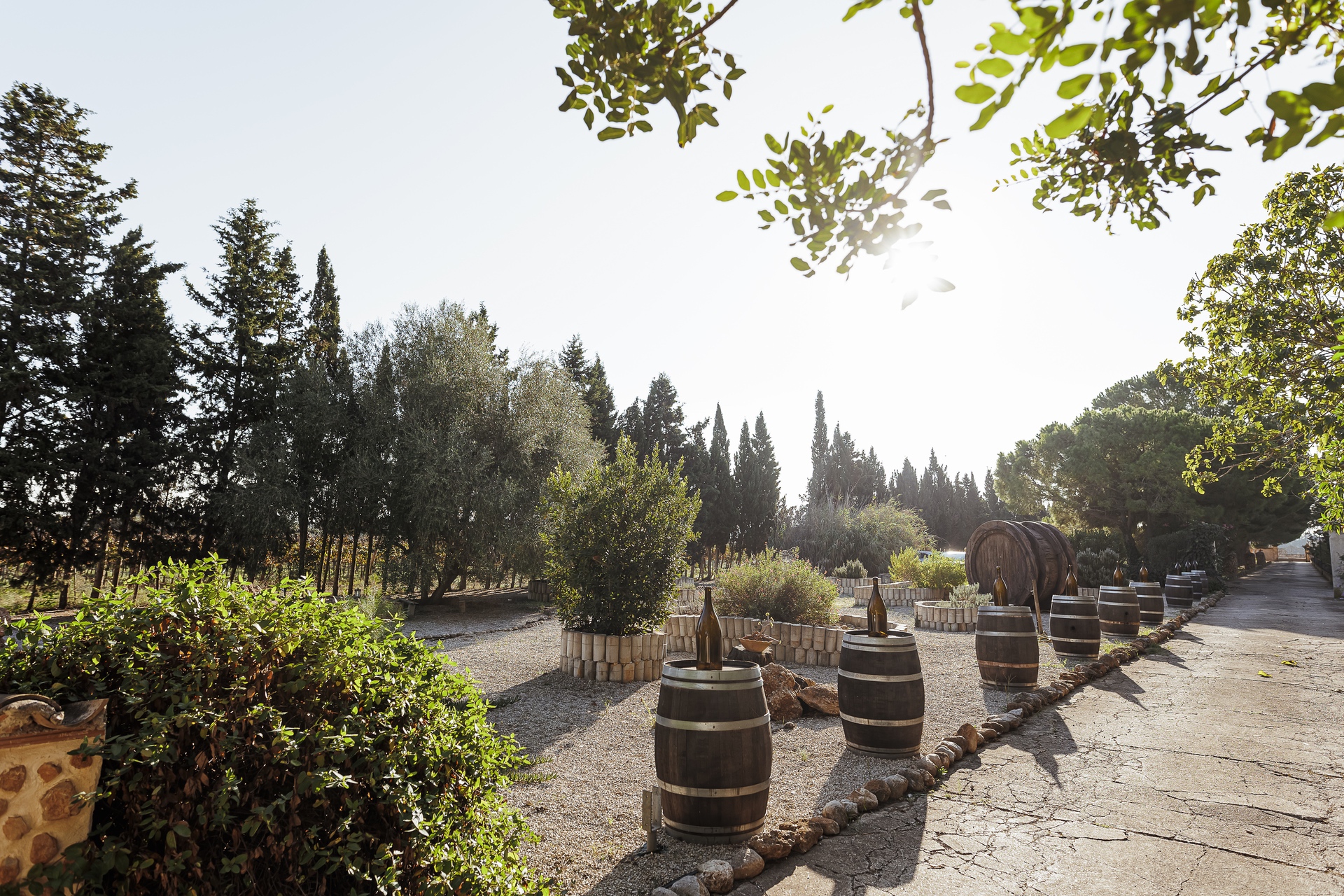Wein und Erholung: Can Davero Landhotel & Weingut auf Mallorca