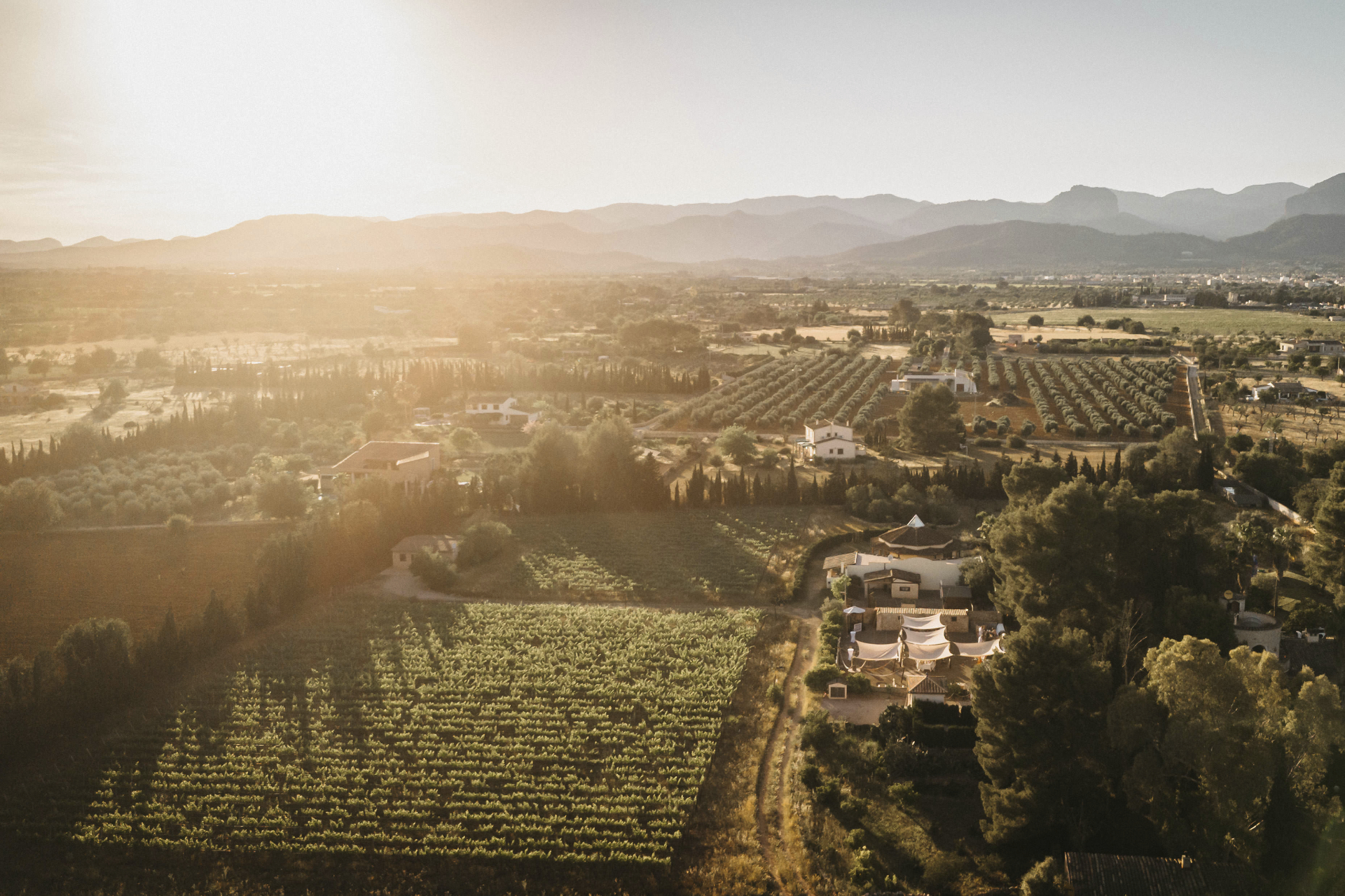 Entdecken Sie den Charme von Can Davero: Landhotel & Weingut auf Mallorca